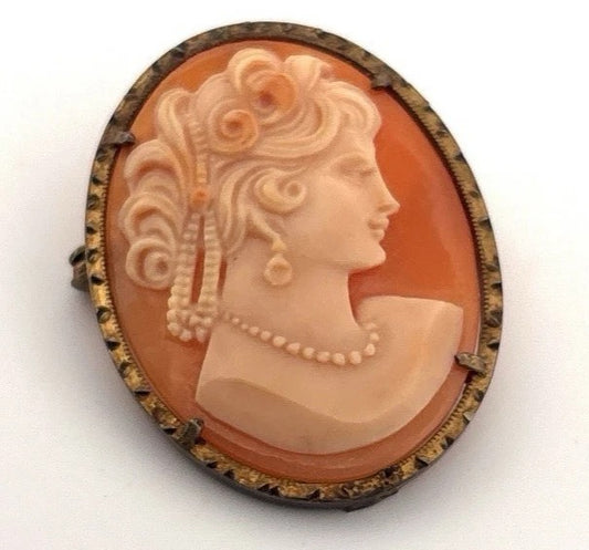 Victorian Style Shell Cameo Yellow Plated Frame Brooch, 3.5cm x 2.5cm