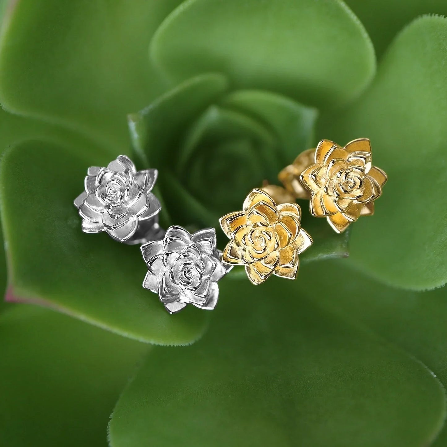 Succulent Post Small Gold Stud Earrings 9mm Yellow Plated Sterling Silver - Devine & Co.