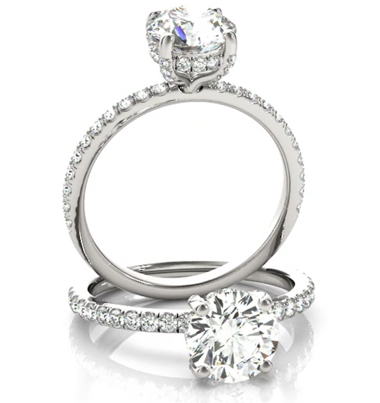 Shelly Devine Design Gallery Devine & Co. Monterey Solitaire Hidden Halo