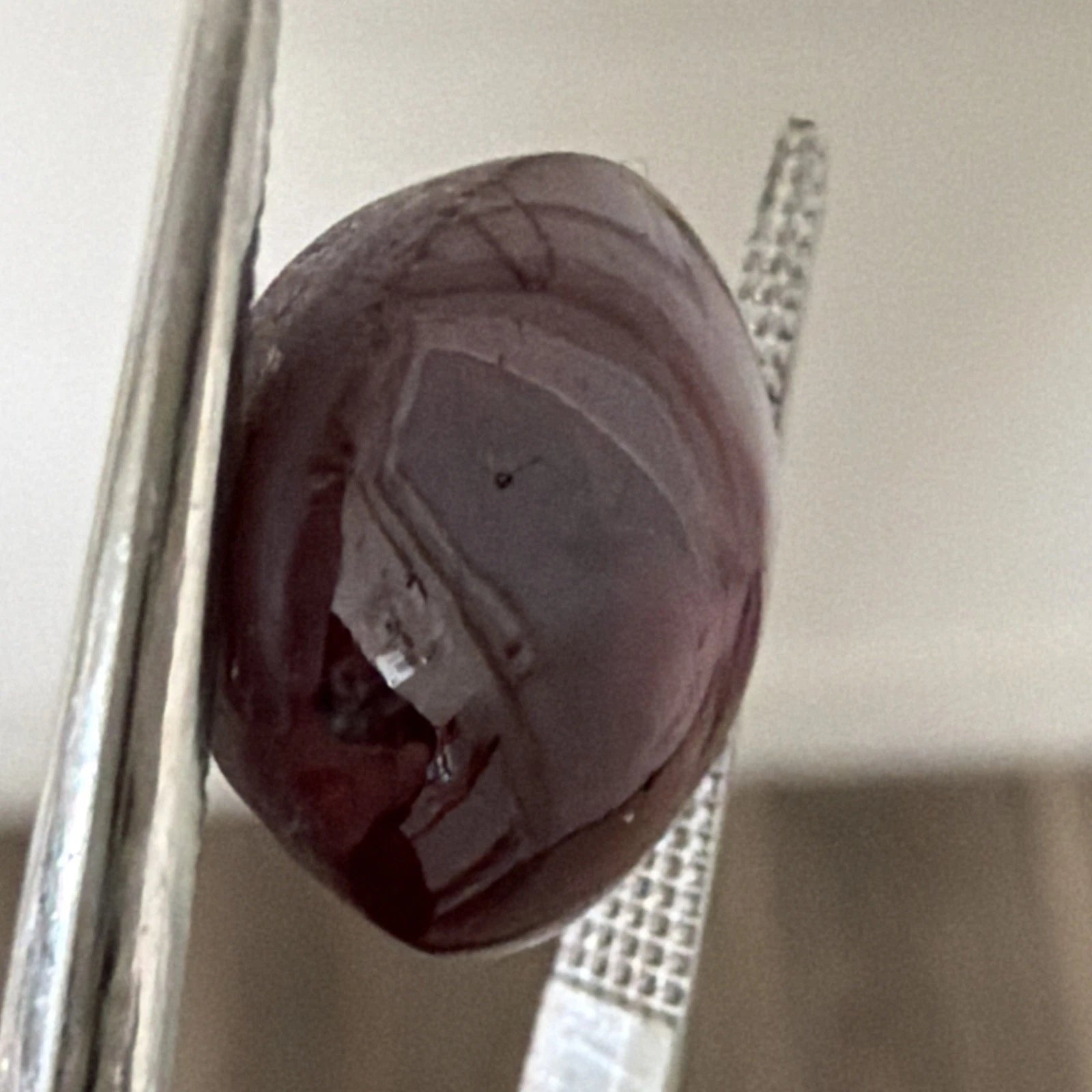 Natural Star Ruby 13.61 Carats Oval Cabochon 6 Ray Star Loose Gemstone - Devine & Co.