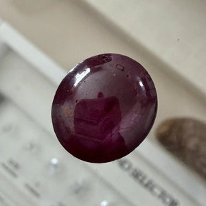 Natural Star Ruby 13.61 Carats Oval Cabochon 6 Ray Star Loose Gemstone