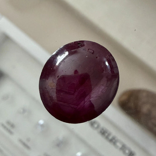 Natural Star Ruby 13.61 Carats Oval Cabochon 6 Ray Star Loose Gemstone - Devine & Co.