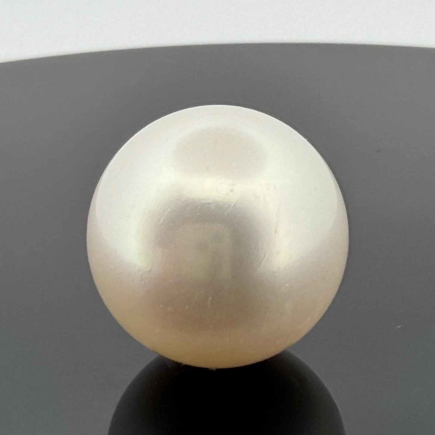 South Sea Pearl 17.6mm Loose Pearl Superior Grade Phoenix GUILD Certified - Devine & Co.