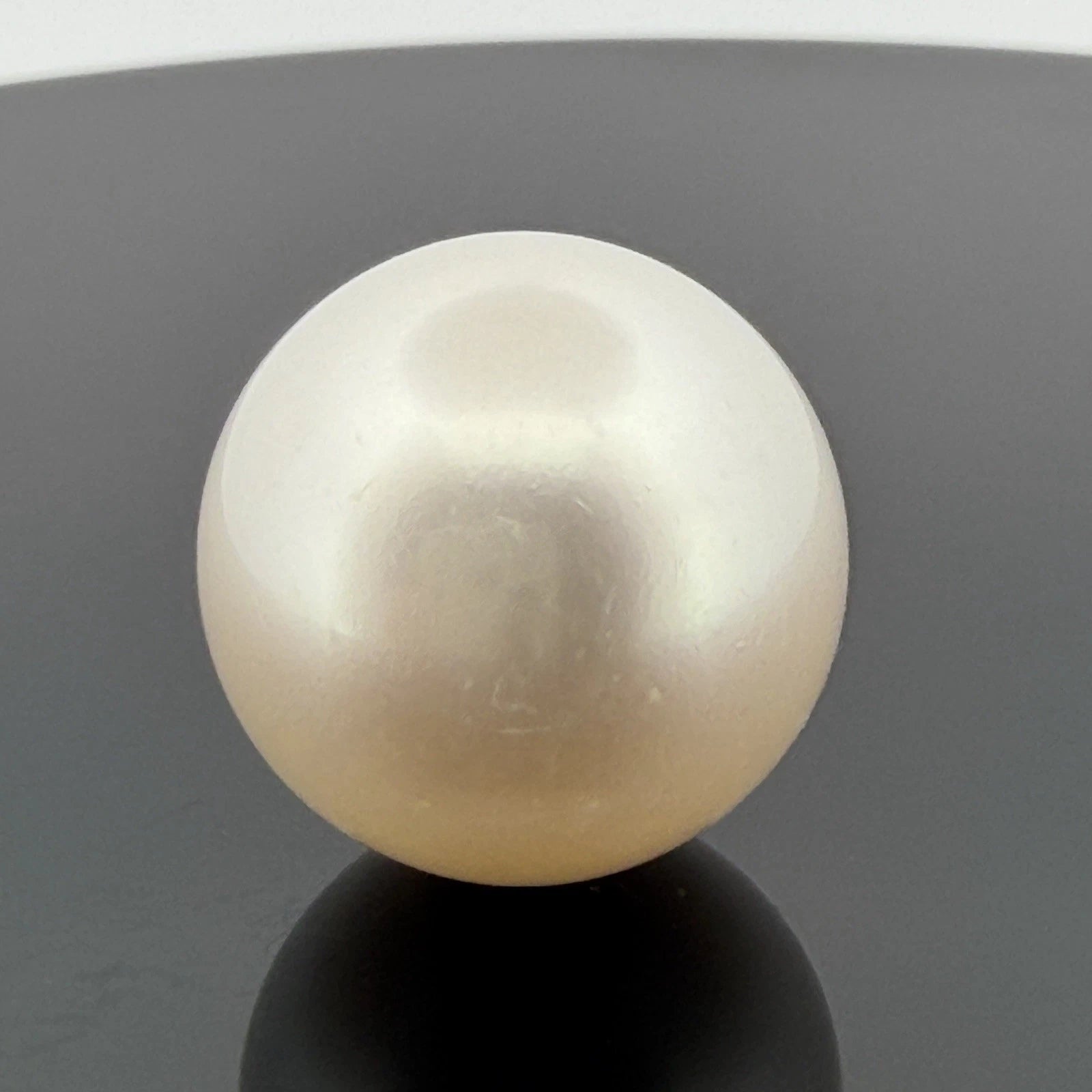 South Sea Pearl 17.6mm Loose Pearl Superior Grade Phoenix GUILD Certified - Devine & Co.