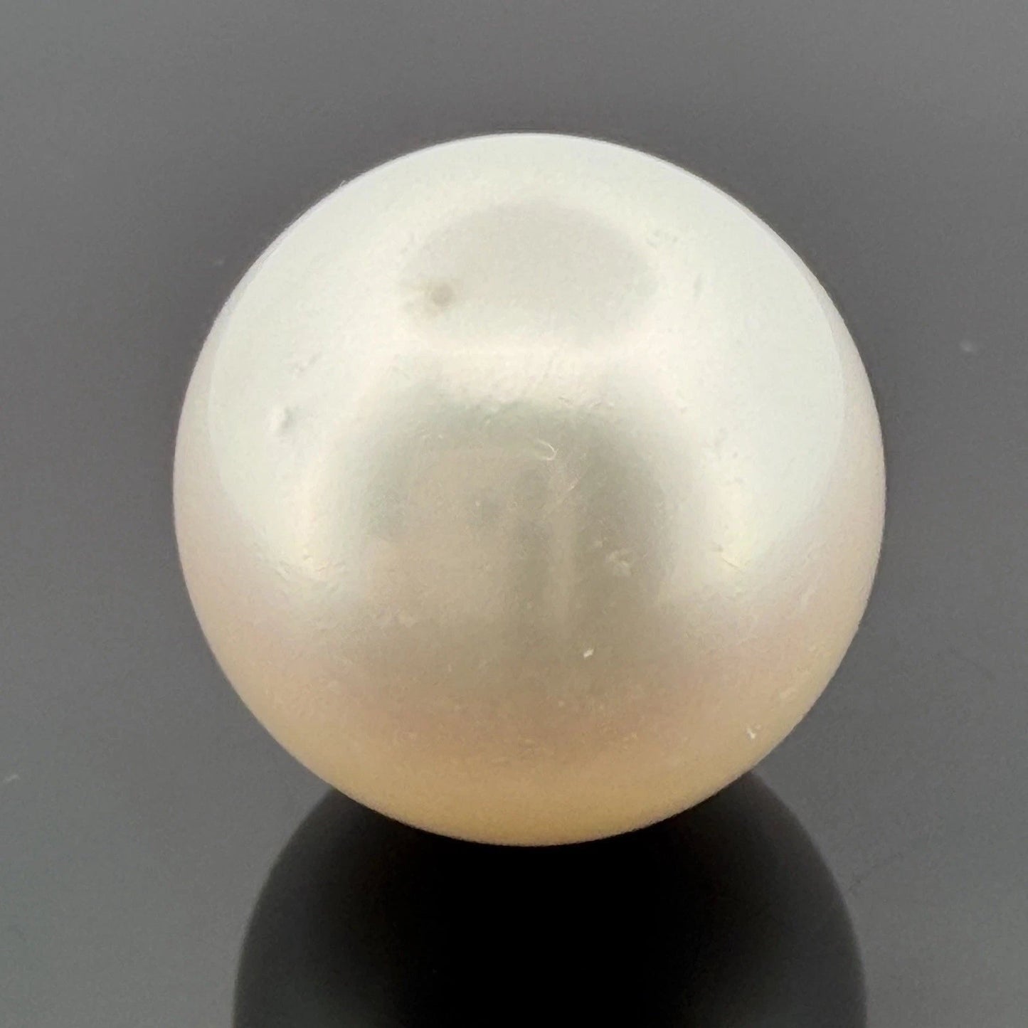 South Sea Pearl 17.6mm Loose Pearl Superior Grade Phoenix GUILD Certified - Devine & Co.