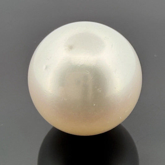 South Sea Pearl 17.6mm Loose Pearl Superior Grade Phoenix GUILD Certified - Devine & Co.