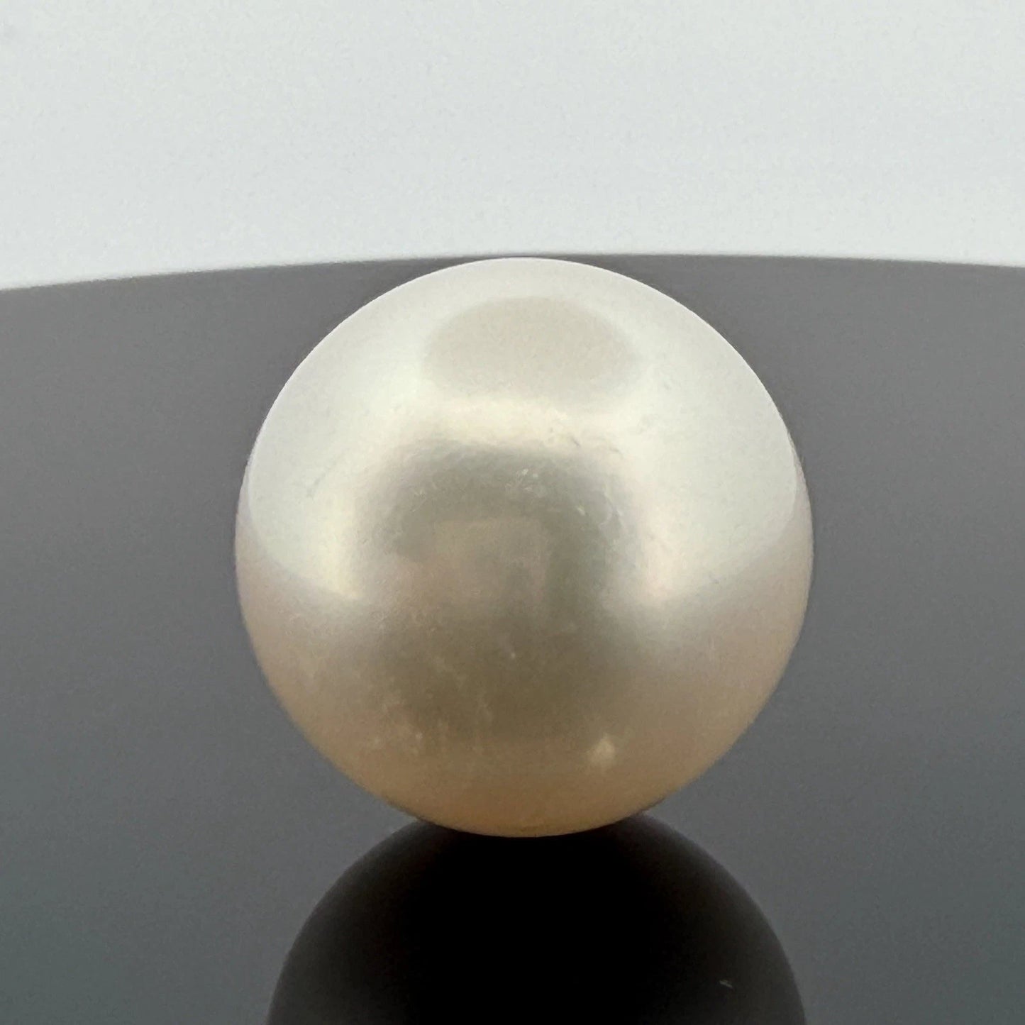 South Sea Pearl 17.6mm Loose Pearl Superior Grade Phoenix GUILD Certified - Devine & Co.