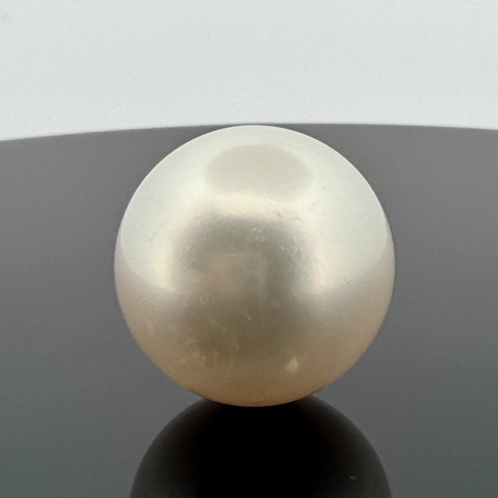 South Sea Pearl 17.6mm Loose Pearl Superior Grade Phoenix GUILD Certified - Devine & Co.