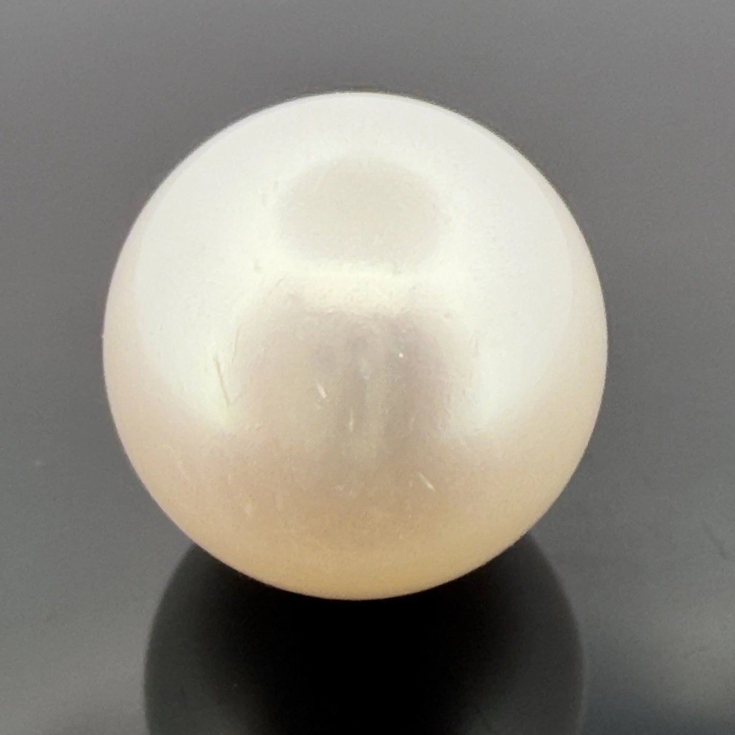 South Sea Pearl 17.6mm Loose Pearl Superior Grade Phoenix GUILD Certified - Devine & Co.