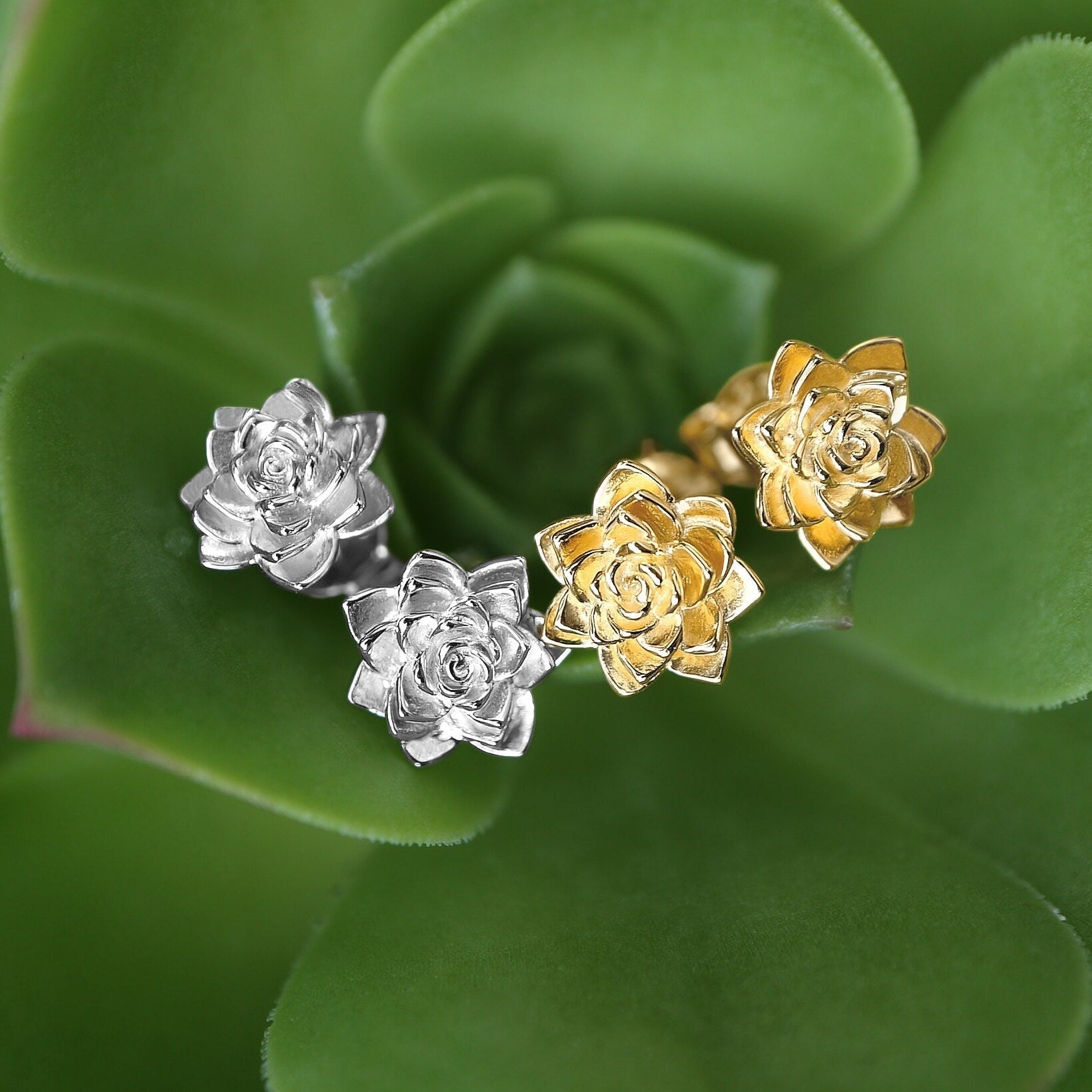 Succulent Post Stud Earrings 9mm Yellow Plated Sterling Silver - Devine & Co.